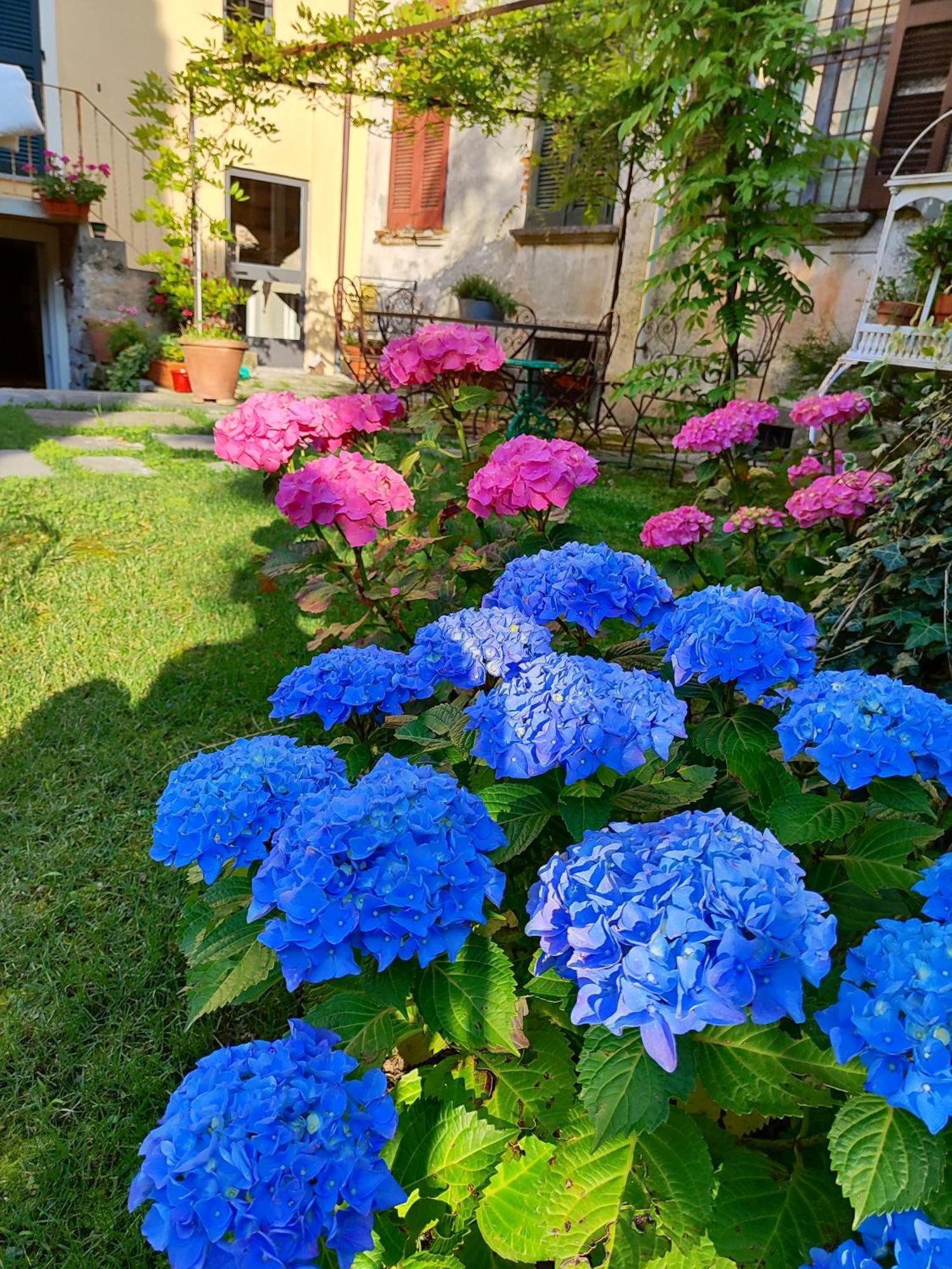 トレメッツォ Casa Lumaca Bed & Breakfast エクステリア 写真